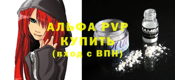 ешки Пересвет