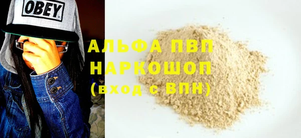 ешки Пересвет
