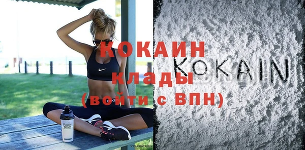 ешки Пересвет