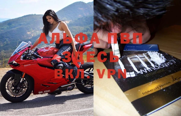 ешки Пересвет