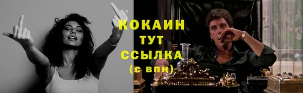 ПСИЛОЦИБИНОВЫЕ ГРИБЫ Пестово
