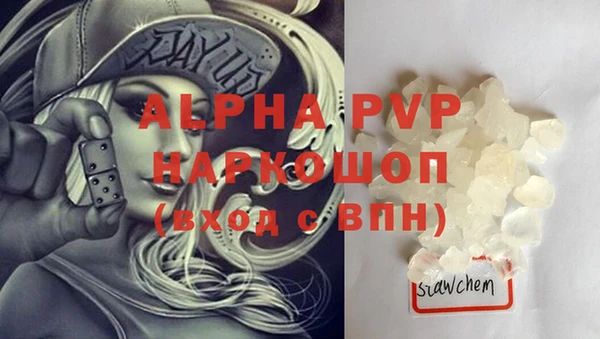 ешки Пересвет